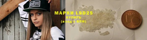 мяу мяу мука Аркадак