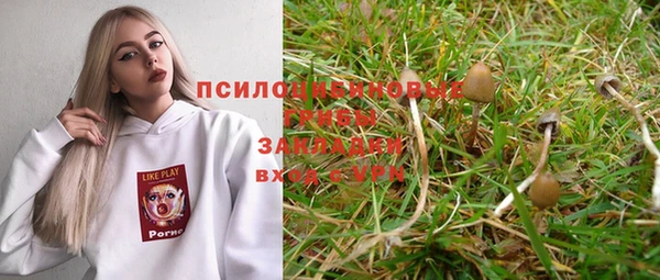 мяу мяу мука Аркадак