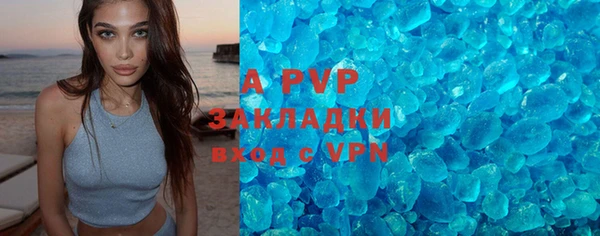 мяу мяу мука Аркадак